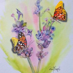 Ilustración mariposas