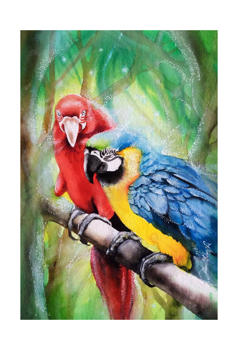 Papagei, Watercolor, Aquarell, Acuarela 28x38 ORIGINAL available