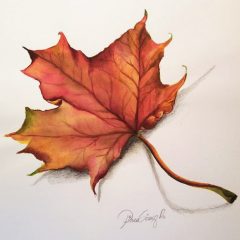 Ilustración Otoño